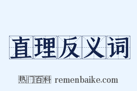 直理反义词是什么意思的图片